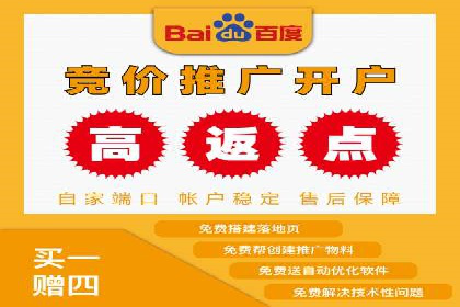 谷歌竞价广告的投放策略与成功案例分析